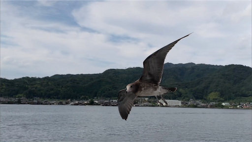 f:id:yukinekokei:20201014235926p:image f:id:yukinekokei:20201014235926p:image