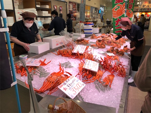 f:id:yukinekokei:20201116084908j:image f:id:yukinekokei:20201116084908j:image