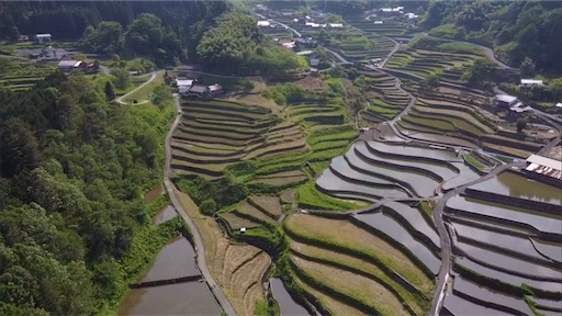 f:id:yukinekokei:20210527102750j:image