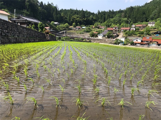 f:id:yukinekokei:20210528090445j:image