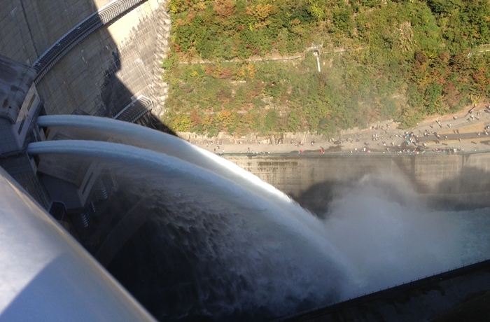 f:id:yukinekokei:20210603200013j:plain