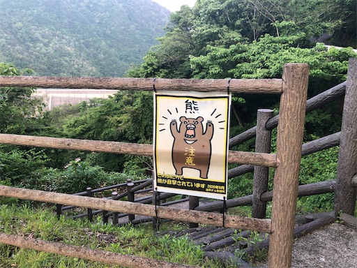 f:id:yukinekokei:20210603203521j:image f:id:yukinekokei:20210603203521j:image