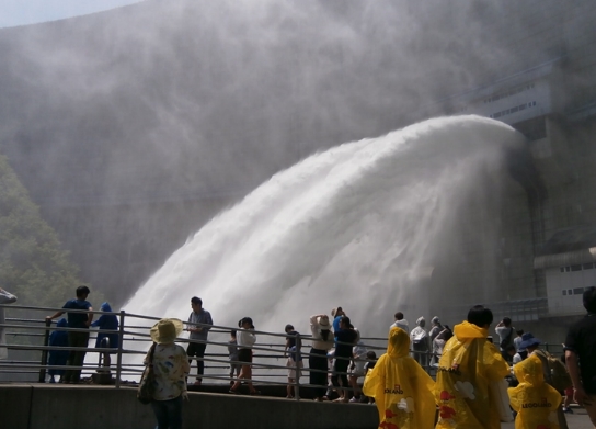 f:id:yukinekokei:20210610132816j:plain