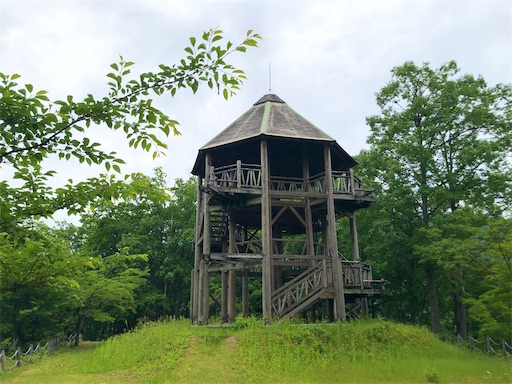 f:id:yukinekokei:20210610134805j:image f:id:yukinekokei:20210610134805j:image