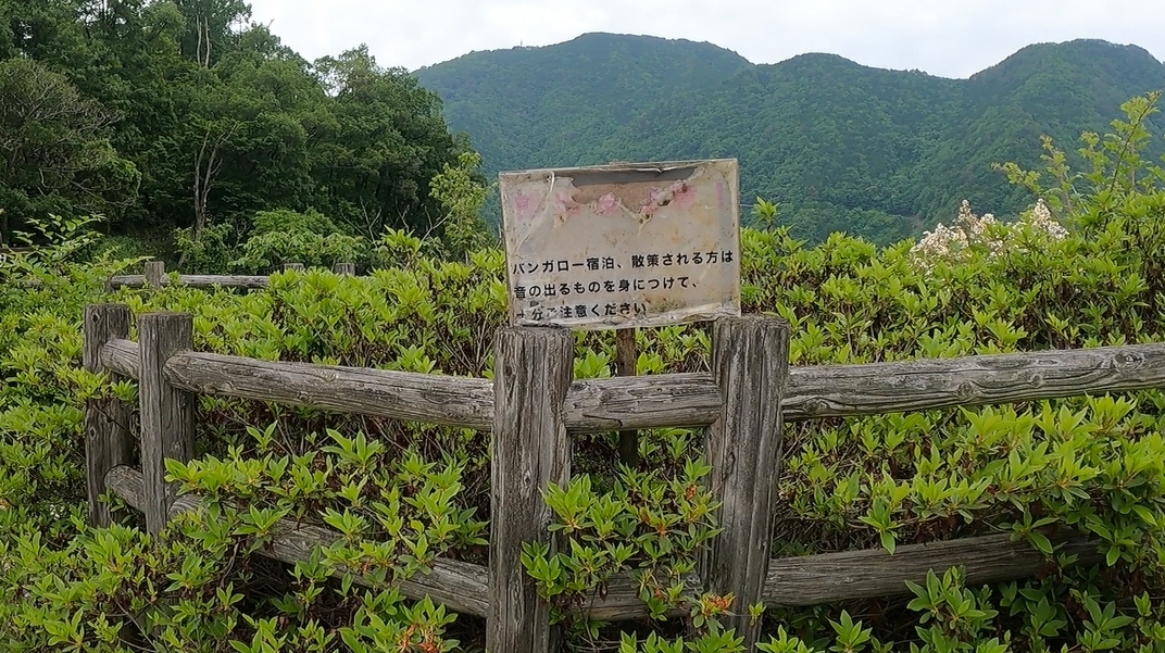 f:id:yukinekokei:20210610203712j:plain