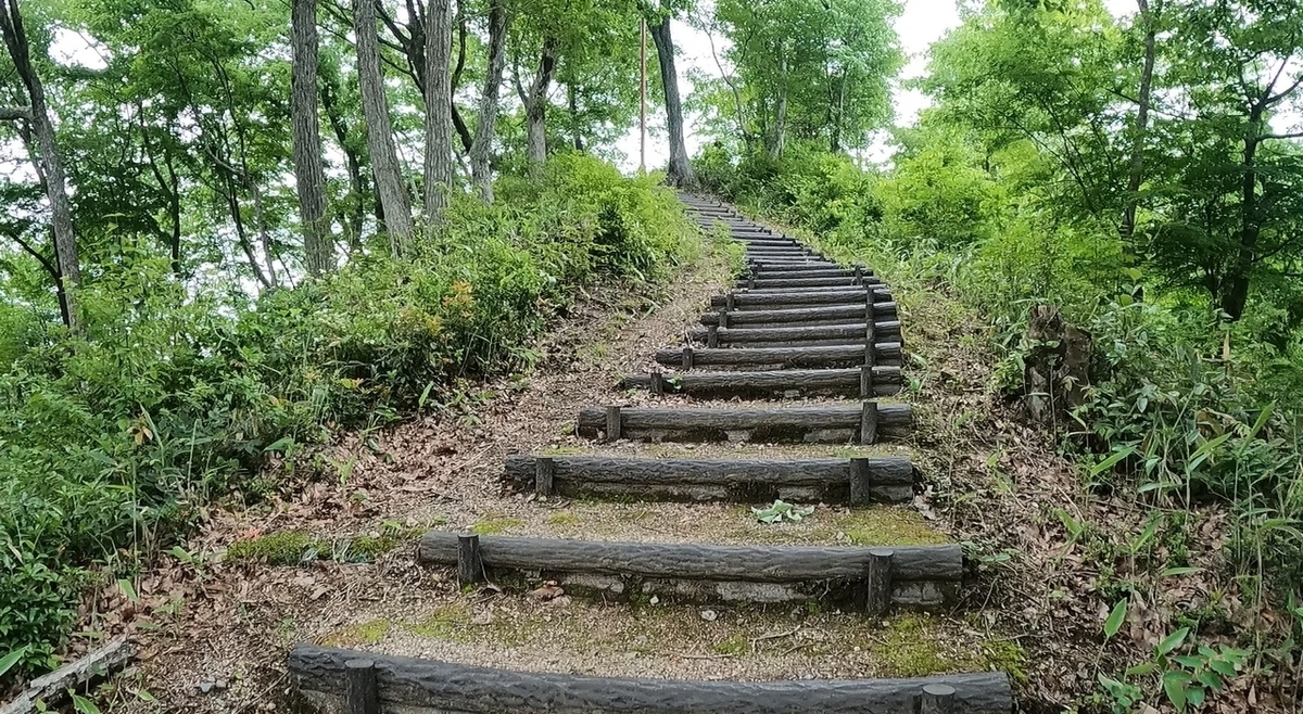 f:id:yukinekokei:20210610203727j:plain