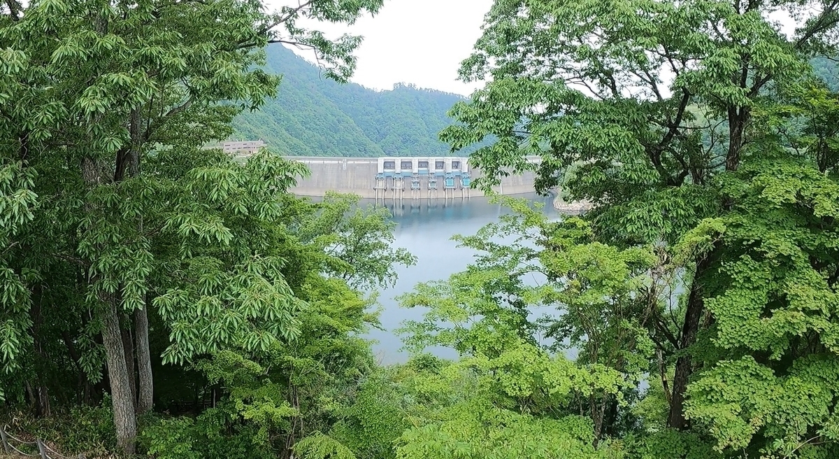 f:id:yukinekokei:20210610203800j:plain