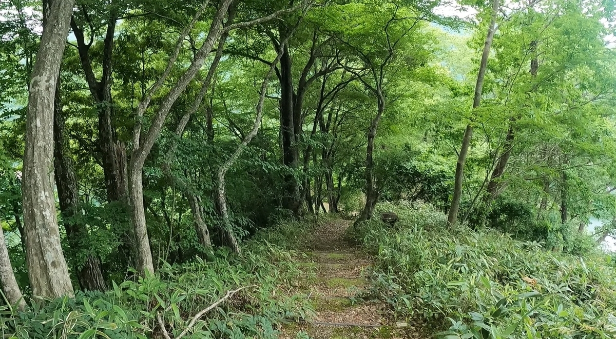 f:id:yukinekokei:20210610204025j:plain