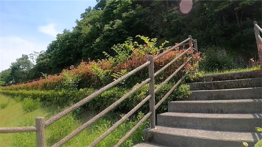 f:id:yukinekokei:20210612091501p:image f:id:yukinekokei:20210612091501p:image