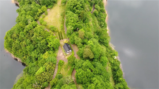 f:id:yukinekokei:20210612232820p:image f:id:yukinekokei:20210612232820p:image