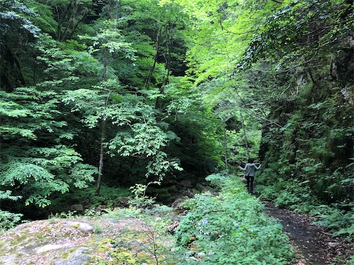 f:id:yukinekokei:20210627073805j:image