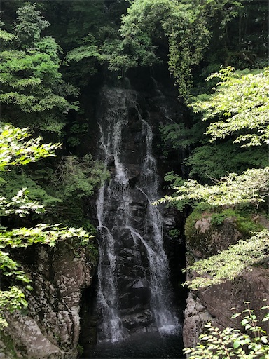 f:id:yukinekokei:20210627073956j:image