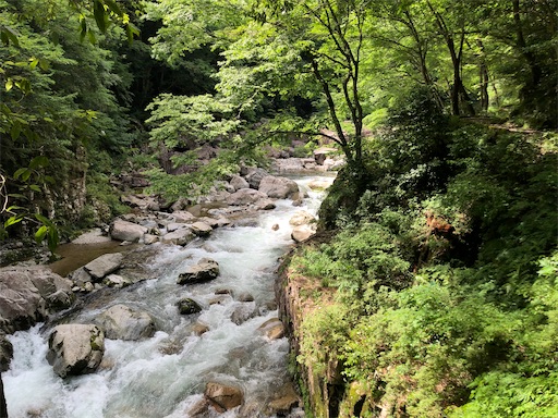 f:id:yukinekokei:20210627073959j:image