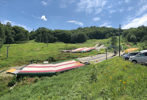 f:id:yukinekokei:20210627081246j:image