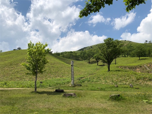 f:id:yukinekokei:20210627081613j:image