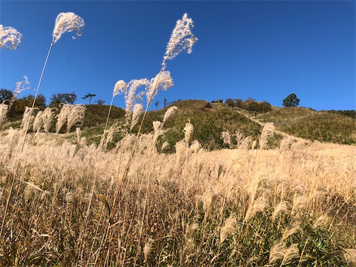 f:id:yukinekokei:20210627085730j:image