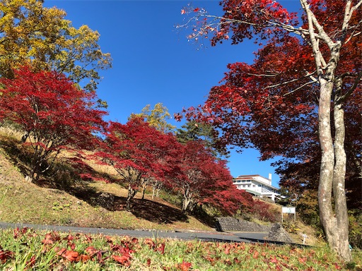 f:id:yukinekokei:20210627085736j:image