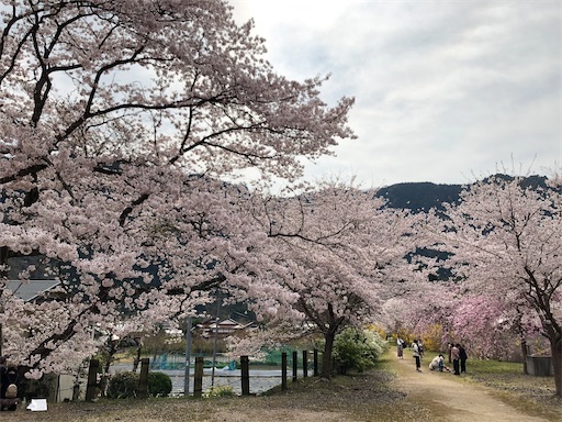 f:id:yukinekokei:20210627143418j:image