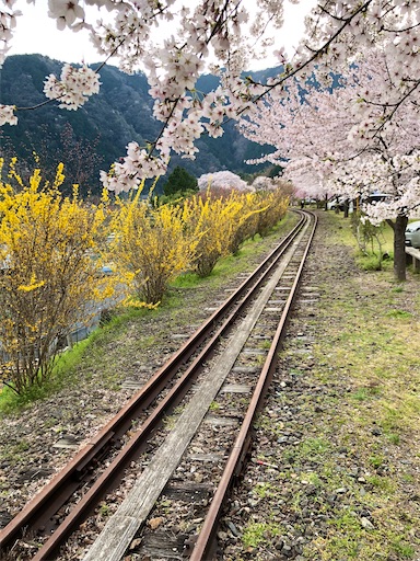 f:id:yukinekokei:20210628214825j:image