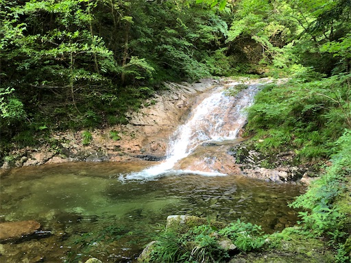 f:id:yukinekokei:20210629125003j:image