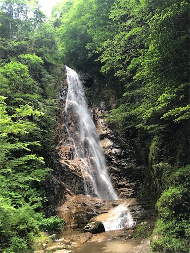 f:id:yukinekokei:20210629125006j:image