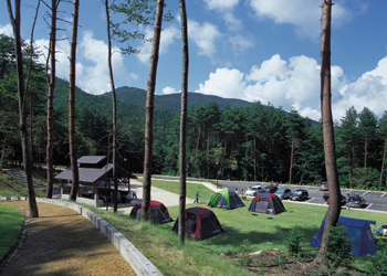 f:id:yukinekokei:20210629164937j:plain