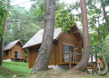 f:id:yukinekokei:20210629164951j:plain