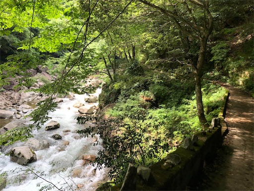 f:id:yukinekokei:20210630103548j:image