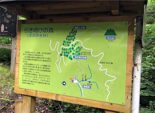 f:id:yukinekokei:20210630134056j:image