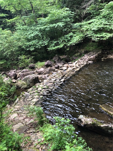 f:id:yukinekokei:20210702093459j:image