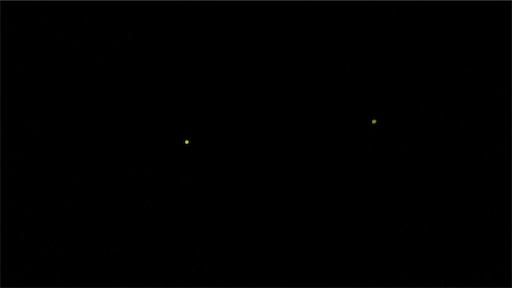 f:id:yukinekokei:20210708191652p:image