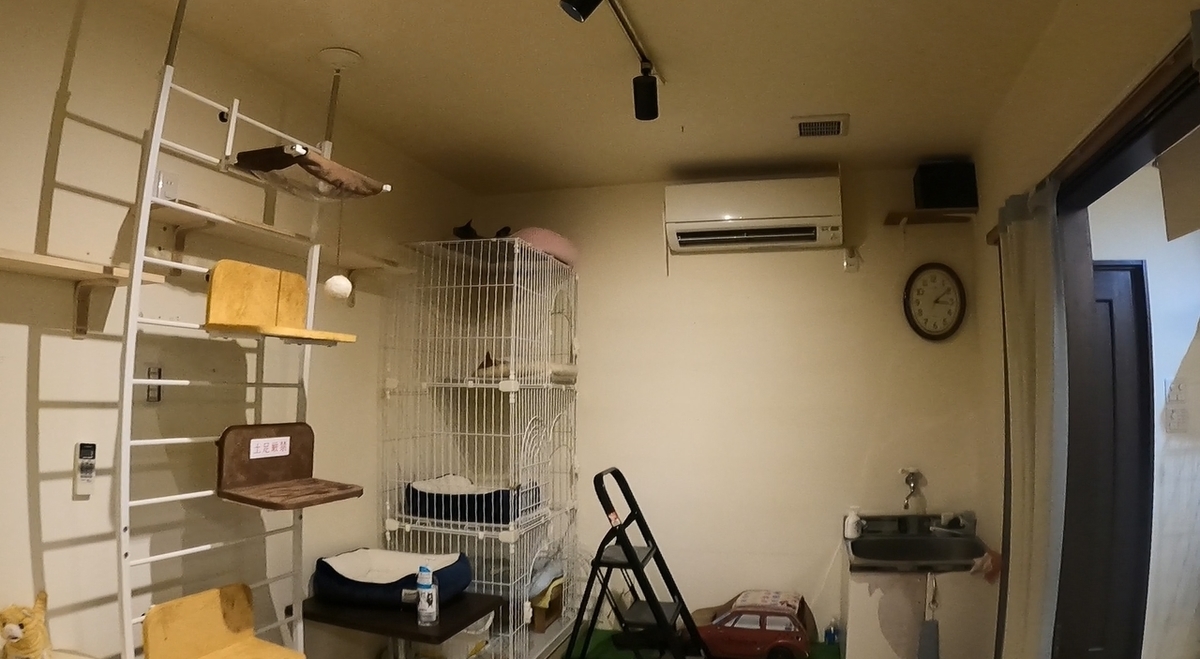 f:id:yukinekokei:20211027224010j:plain