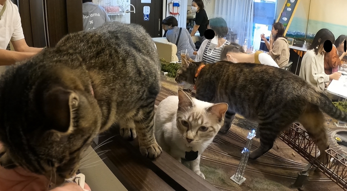 f:id:yukinekokei:20211027224807j:plain