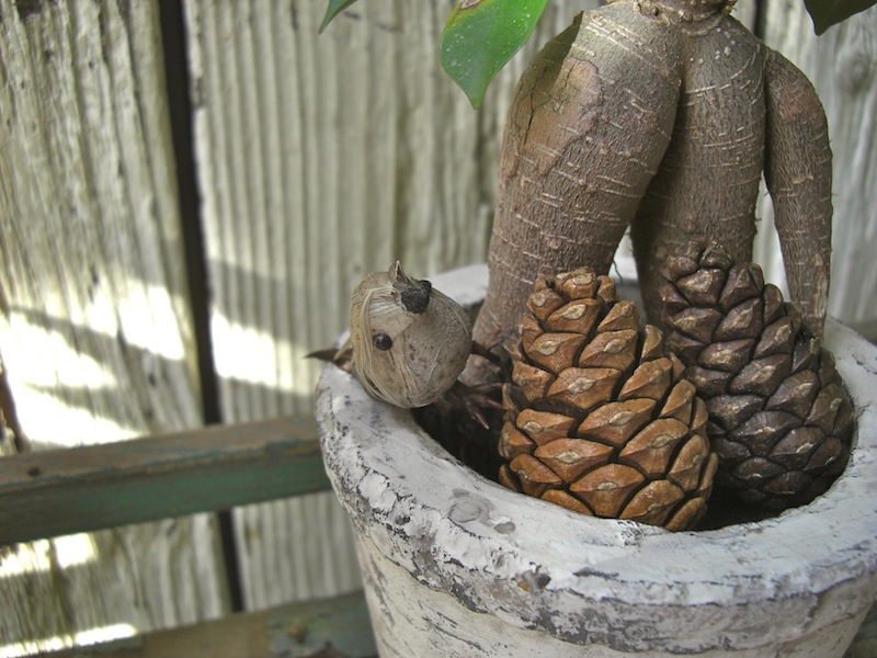 鳥と松ぼっくり