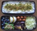 [食べ物][お弁当]2012年07月24日のお弁当