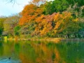 [風景写真]池と紅葉