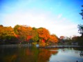 [風景写真]公園