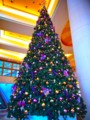 [風景写真]クリスマスツリー