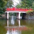 [風景写真]氷川神社