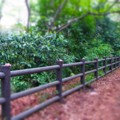 [風景写真]公園の柵