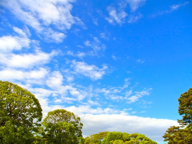 空写真