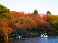 [風景写真]紅葉