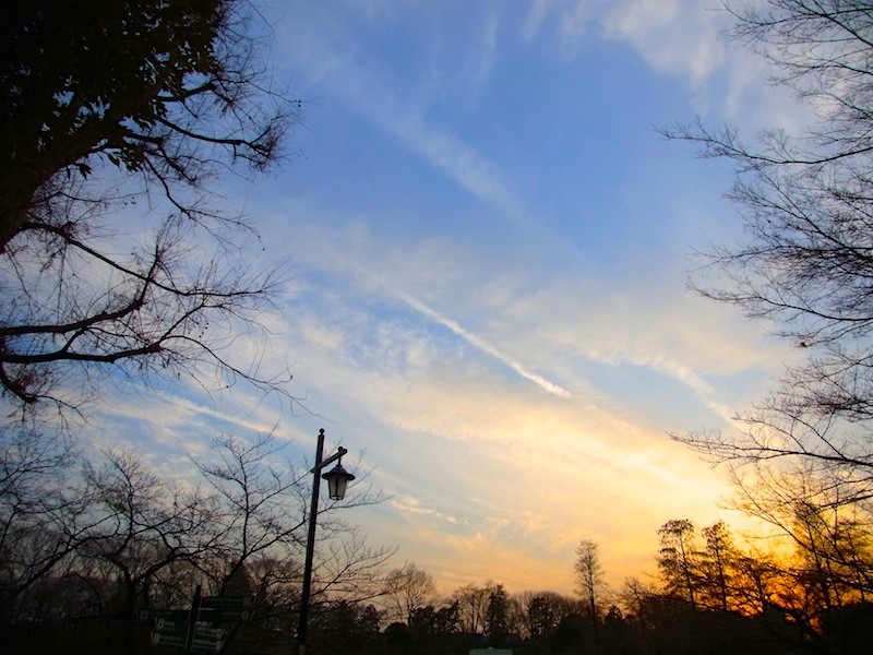 空写真