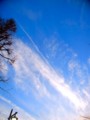 [風景写真]飛行機雲