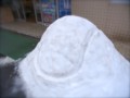 [風景写真]テニスボールみたいな雪の塊