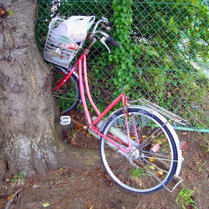 自転車