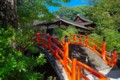 [風景写真]下鴨神社