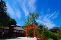 [風景写真]下鴨神社