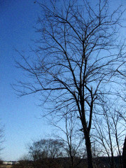 f:id:yukinko17:20100202224804j:image f:id:yukinko17:20100202224804j:image