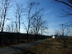 f:id:yukinko17:20100202224938j:image f:id:yukinko17:20100202224938j:image